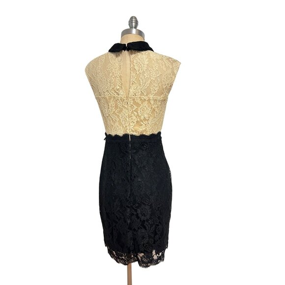 Sandro Ferrone collared lace panel dress Size 42 US 4 6 - Picture 3 of 6